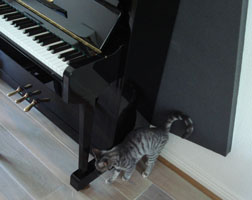 Absorbtieschuim achter de piano